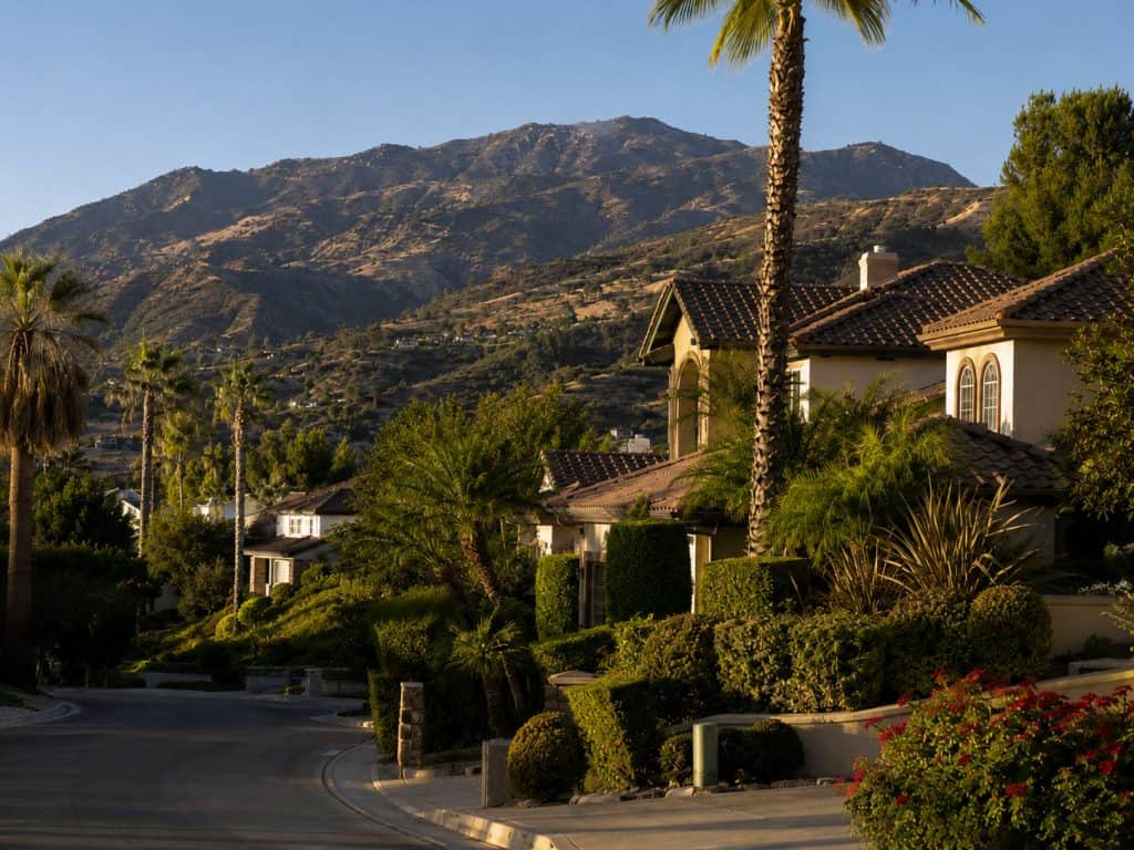 Porter Ranch hillside homes with palm trees and mountain views in 91326